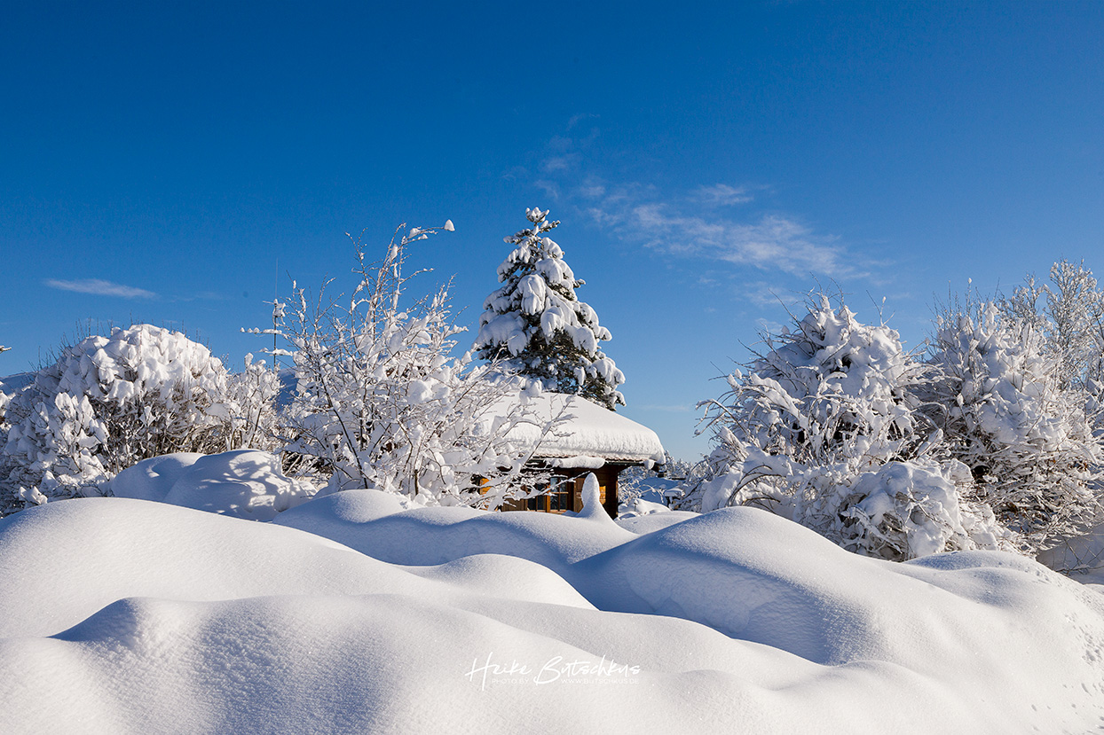 Winterbild mit blauem Himmel und viel Schnee
