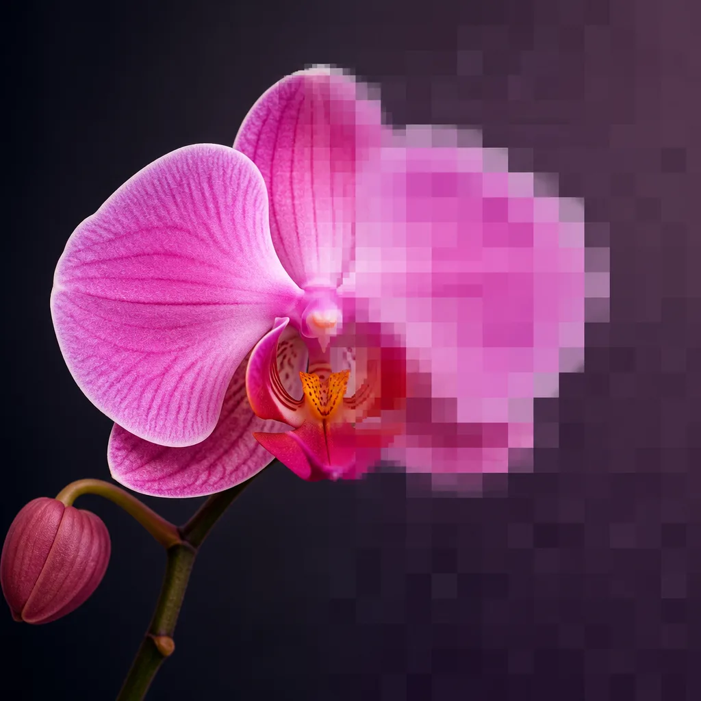 Magnific orchidee